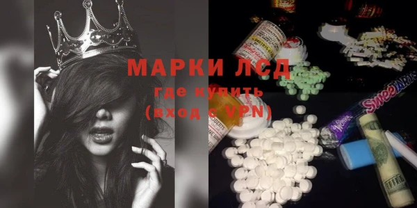 ПСИЛОЦИБИНОВЫЕ ГРИБЫ Михайлов