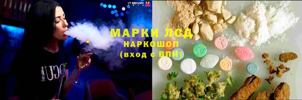 ПСИЛОЦИБИНОВЫЕ ГРИБЫ Михайлов
