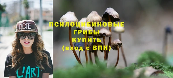 ПСИЛОЦИБИНОВЫЕ ГРИБЫ Михайлов