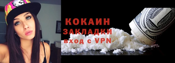 ПСИЛОЦИБИНОВЫЕ ГРИБЫ Михайлов