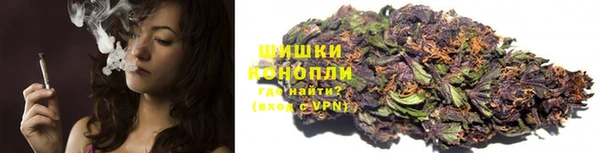 гашик Михайловка