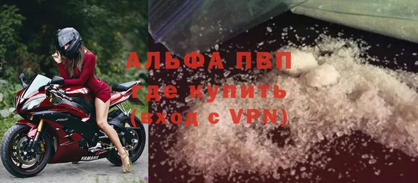 ПСИЛОЦИБИНОВЫЕ ГРИБЫ Михайлов
