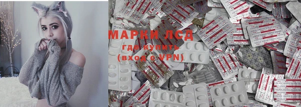 ПСИЛОЦИБИНОВЫЕ ГРИБЫ Михайлов