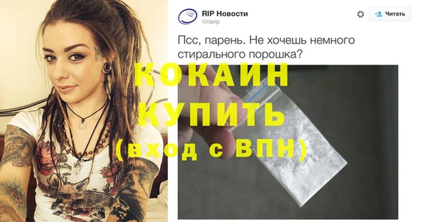 ПСИЛОЦИБИНОВЫЕ ГРИБЫ Михайлов