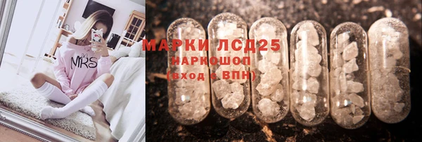 ПСИЛОЦИБИНОВЫЕ ГРИБЫ Михайлов
